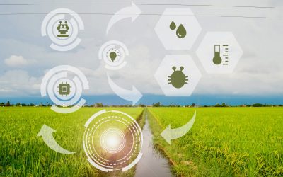 Grado en Bioingeniería