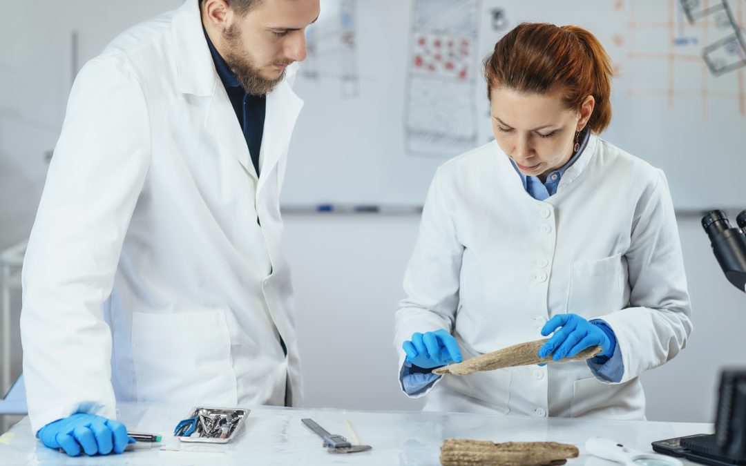 Grado en Antropología