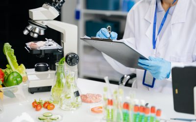 Grado en Ciencia y Tecnología de los Alimentos