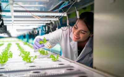Grado en Ciencias Agrarias y Bioeconomía