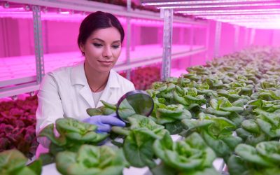 Grado en Biotecnología