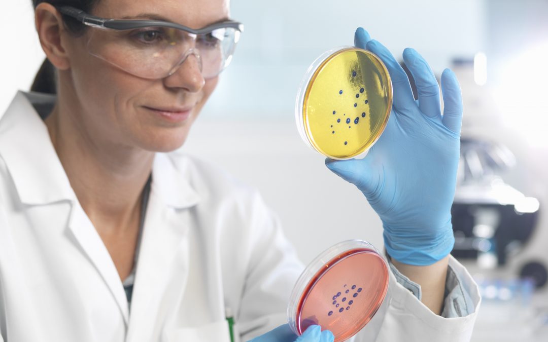 Grado en Microbiología