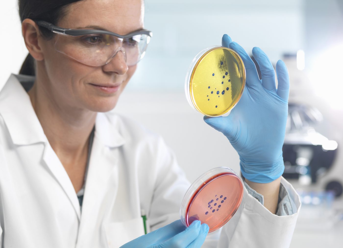 Grado en Microbiología Grado en Microbiología