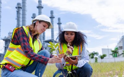 Grado en Ciencias Ambientales