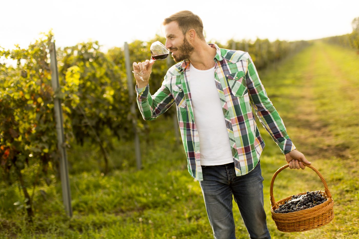 Grado en Enología Grado en Enología