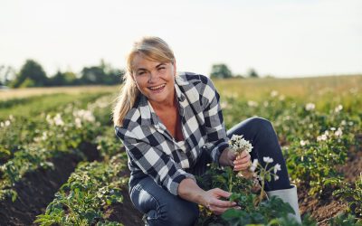 Técnico en Producción Agropecuaria