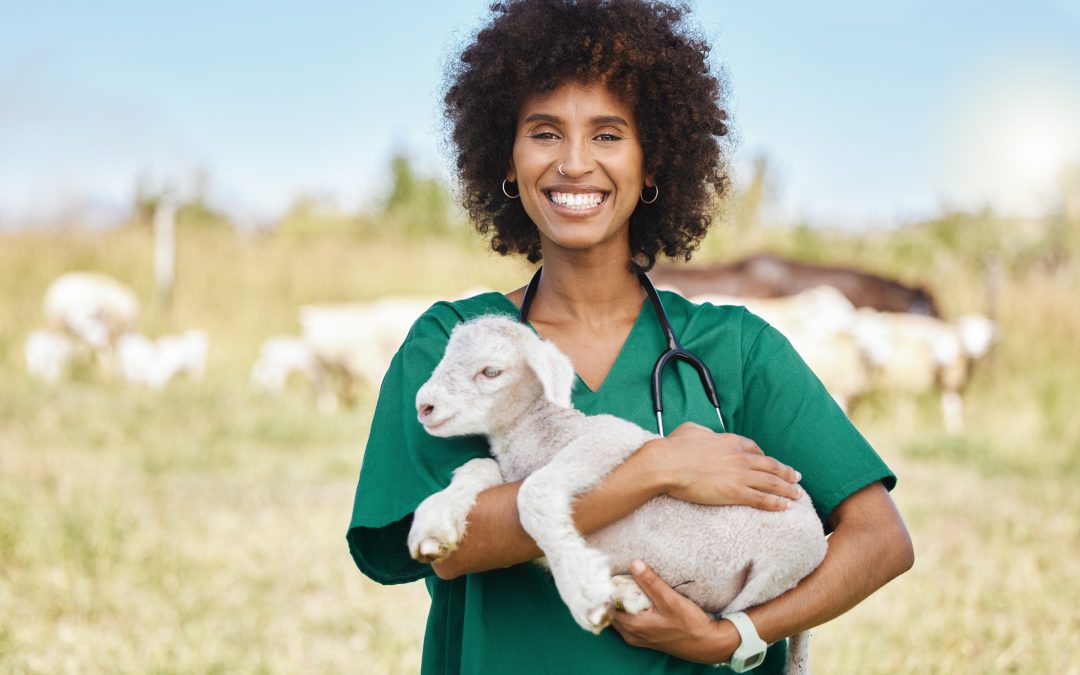 Técnico Superior en Ganadería y Asistencia en Sanidad Animal