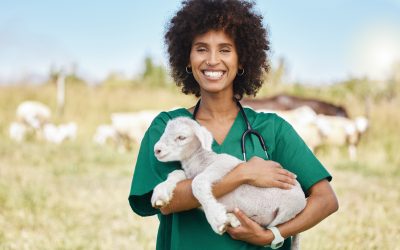 Técnico Superior en Ganadería y Asistencia en Sanidad Animal