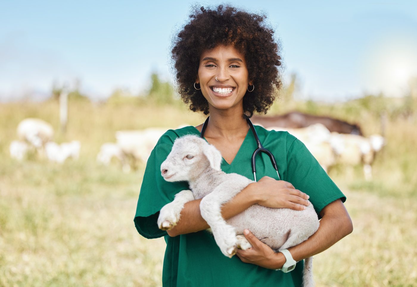 Técnico Superior en Ganadería y Asistencia en Sanidad Animal Técnico Superior en Ganadería y Asistencia en Sanidad Animal